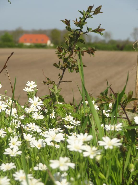 Land & Meer Hasselberg  Εξωτερικό φωτογραφία