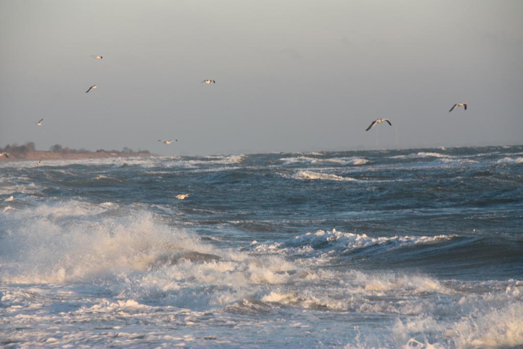Land & Meer Hasselberg  Εξωτερικό φωτογραφία